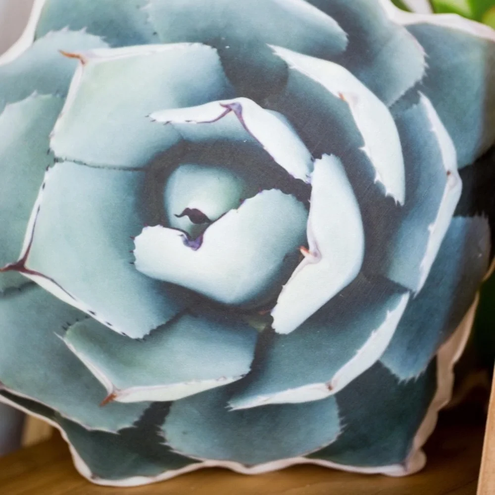 🆕 Agave Truncata Linen Pillow